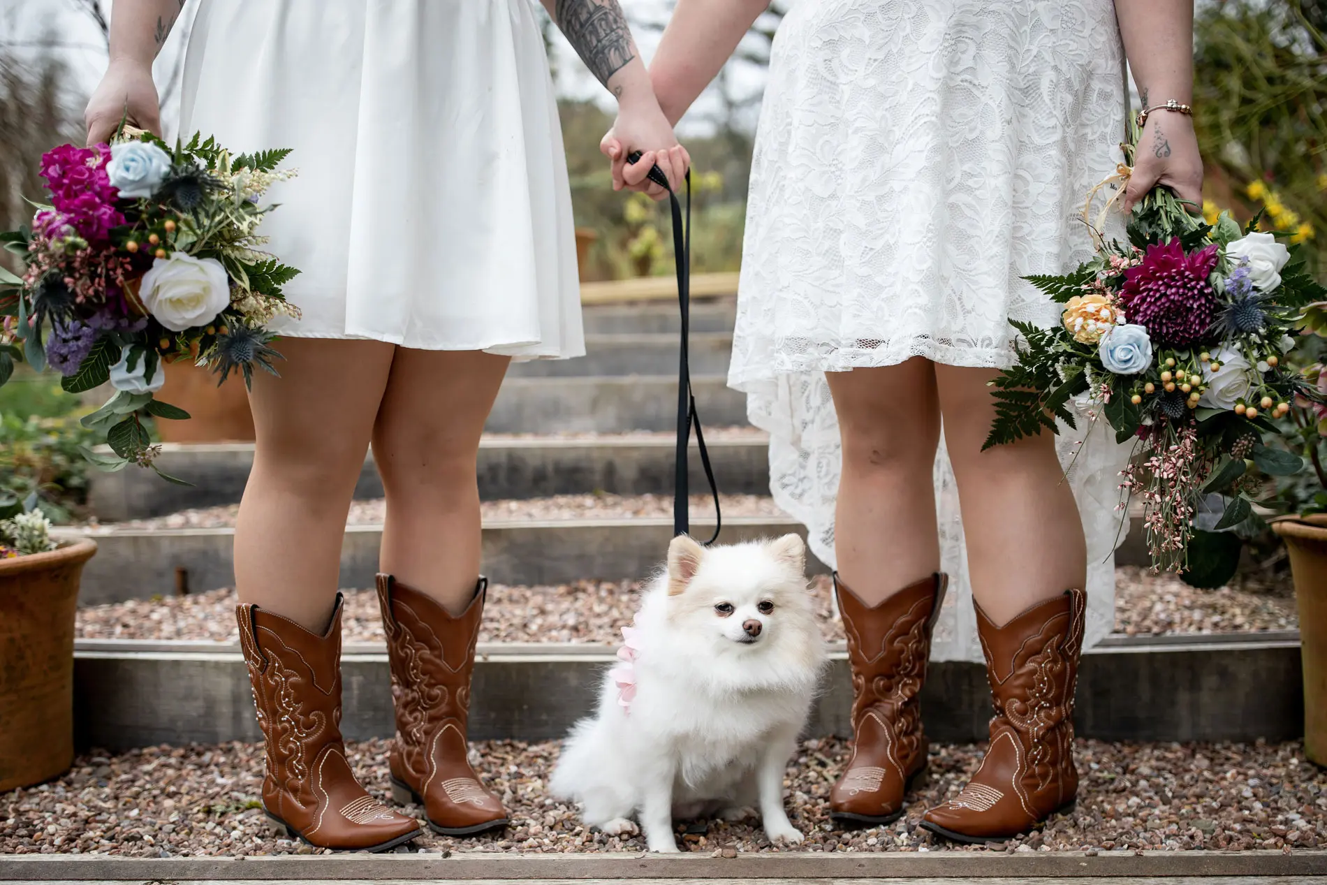 Dog Friendly Wedding Elopement