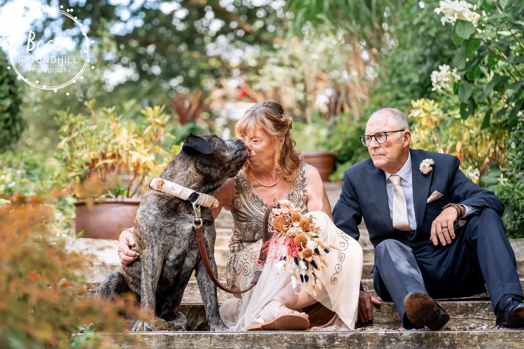 Dexter the dog at Ginny and Del's wedding at Millbrook Estate