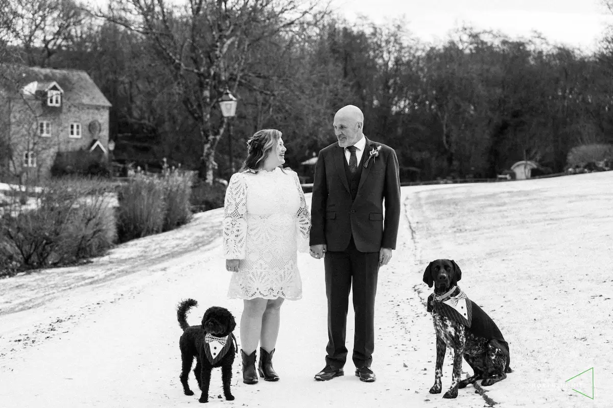 dogs carrying wedding rings during snowy elopement ceremony