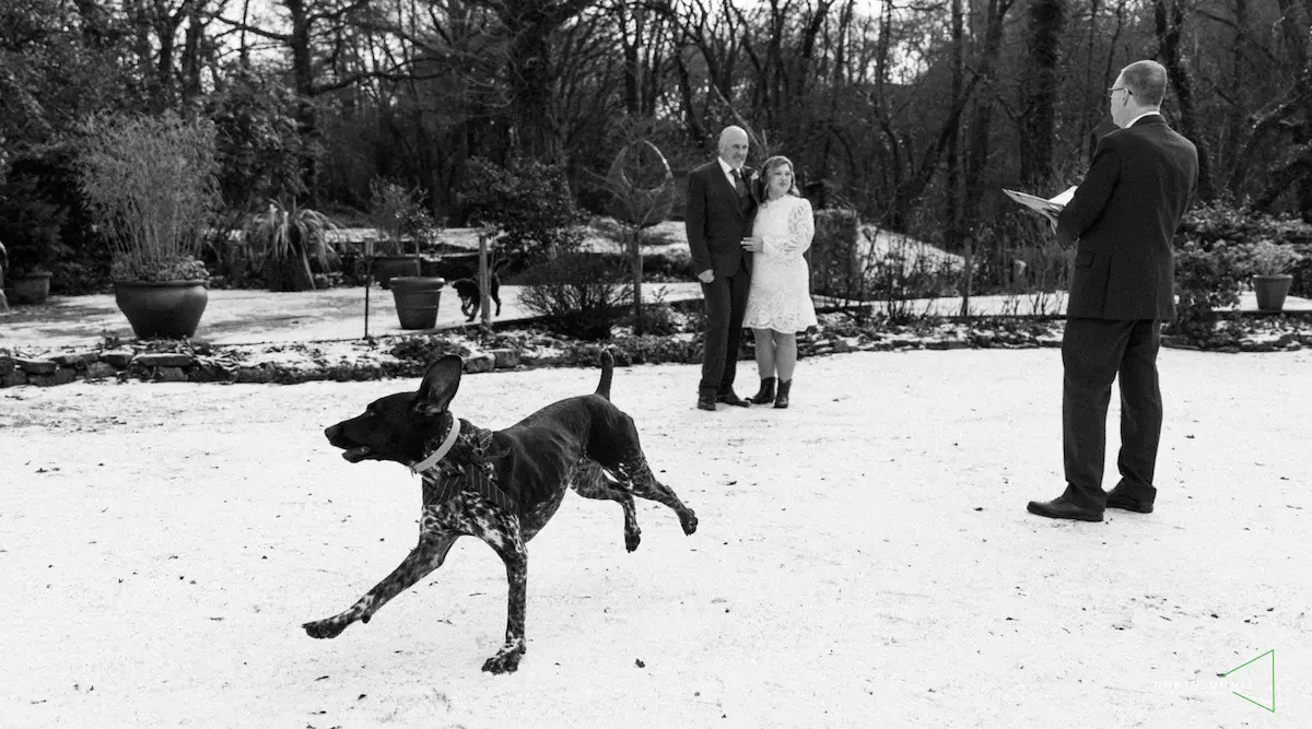 intimate winter elopement ceremony at Millbrook Estate