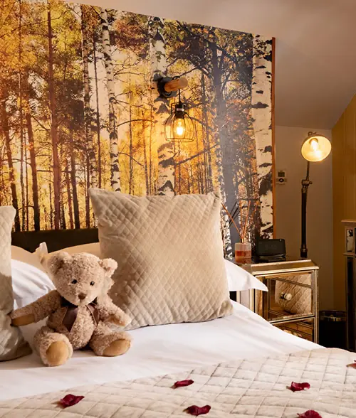 Luxury Accommodation for Two